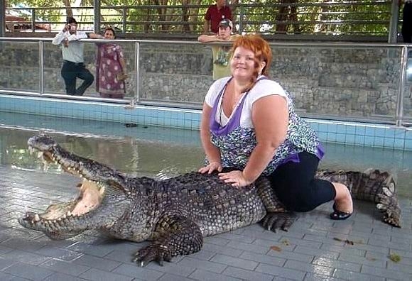 Толстушка на крокодиле