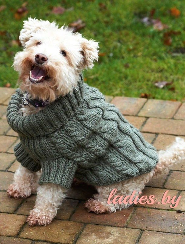 Серо-зелёный свитер для собачки спицами (перед)