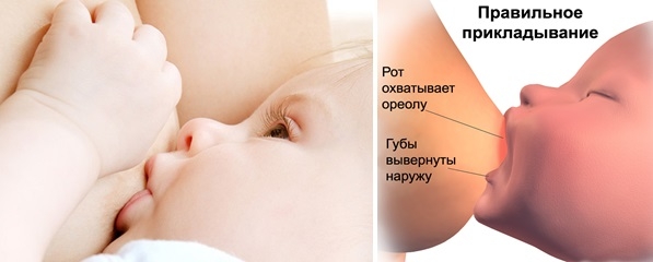 Правильное прикладывания ребёнка к груди