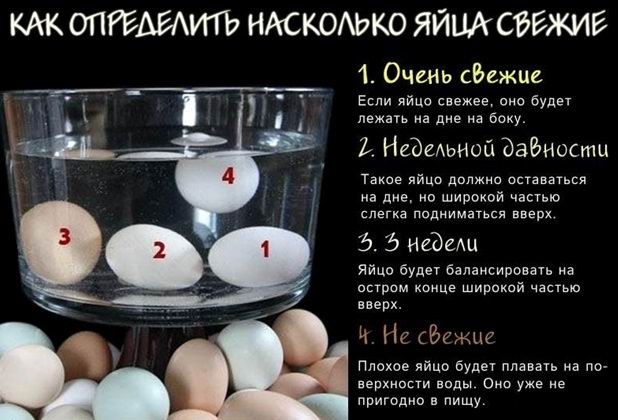 Как определить насколько яйца свежие