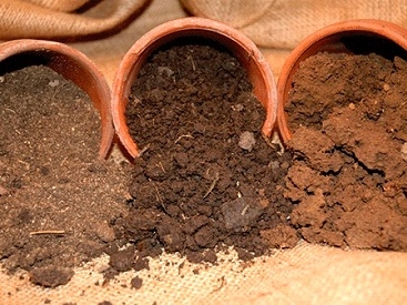 Почва для пересадки фуксии